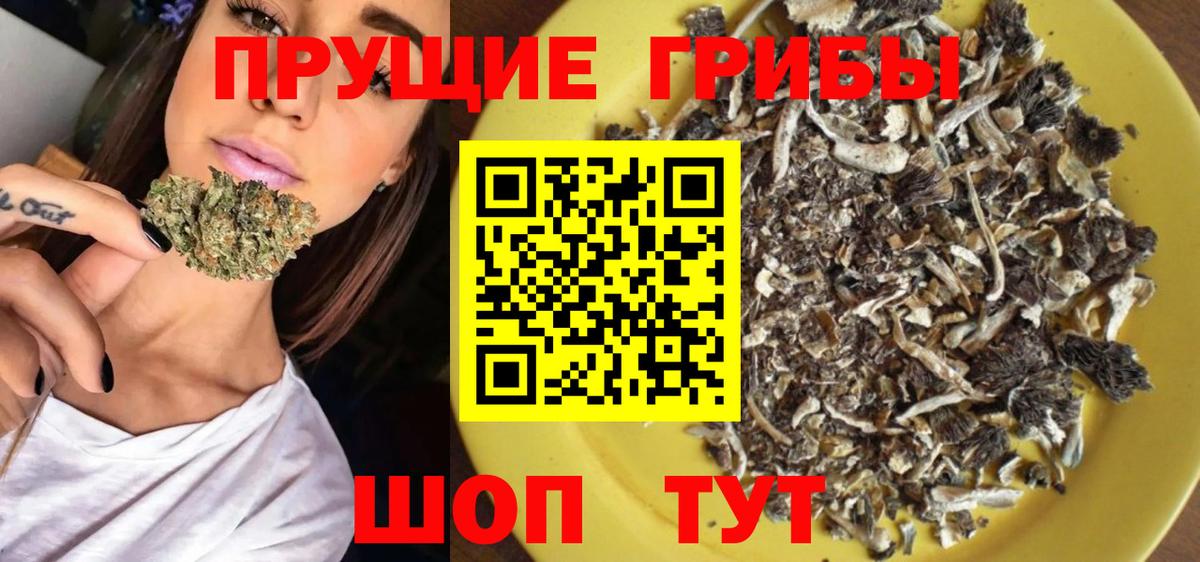 Псилоцибиновые грибы GOLDEN TEACHER  Вход с VPN  Благовещенск  Псилоцибиновые грибы MAGIC MUSHROOMS 