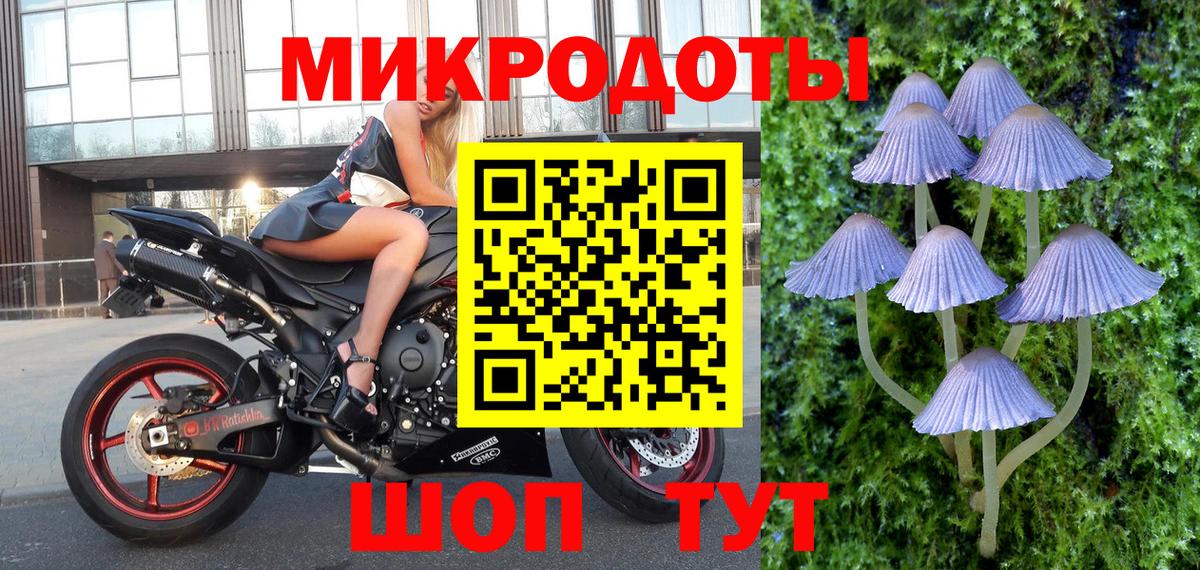 Псилоцибиновые грибы Psilocybine cubensis Благовещенск